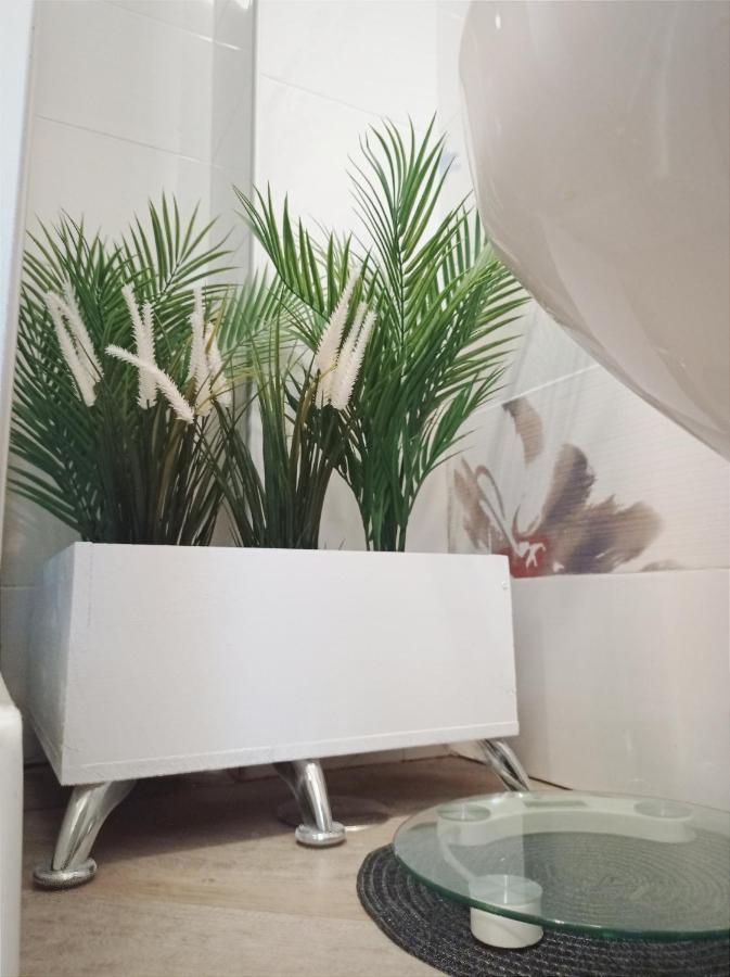 Domus Pio XI Bed & Breakfast Roma Dış mekan fotoğraf